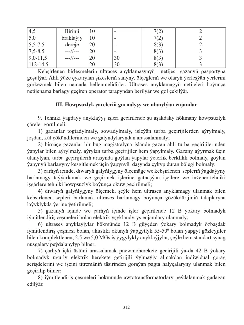 Sahypa 312