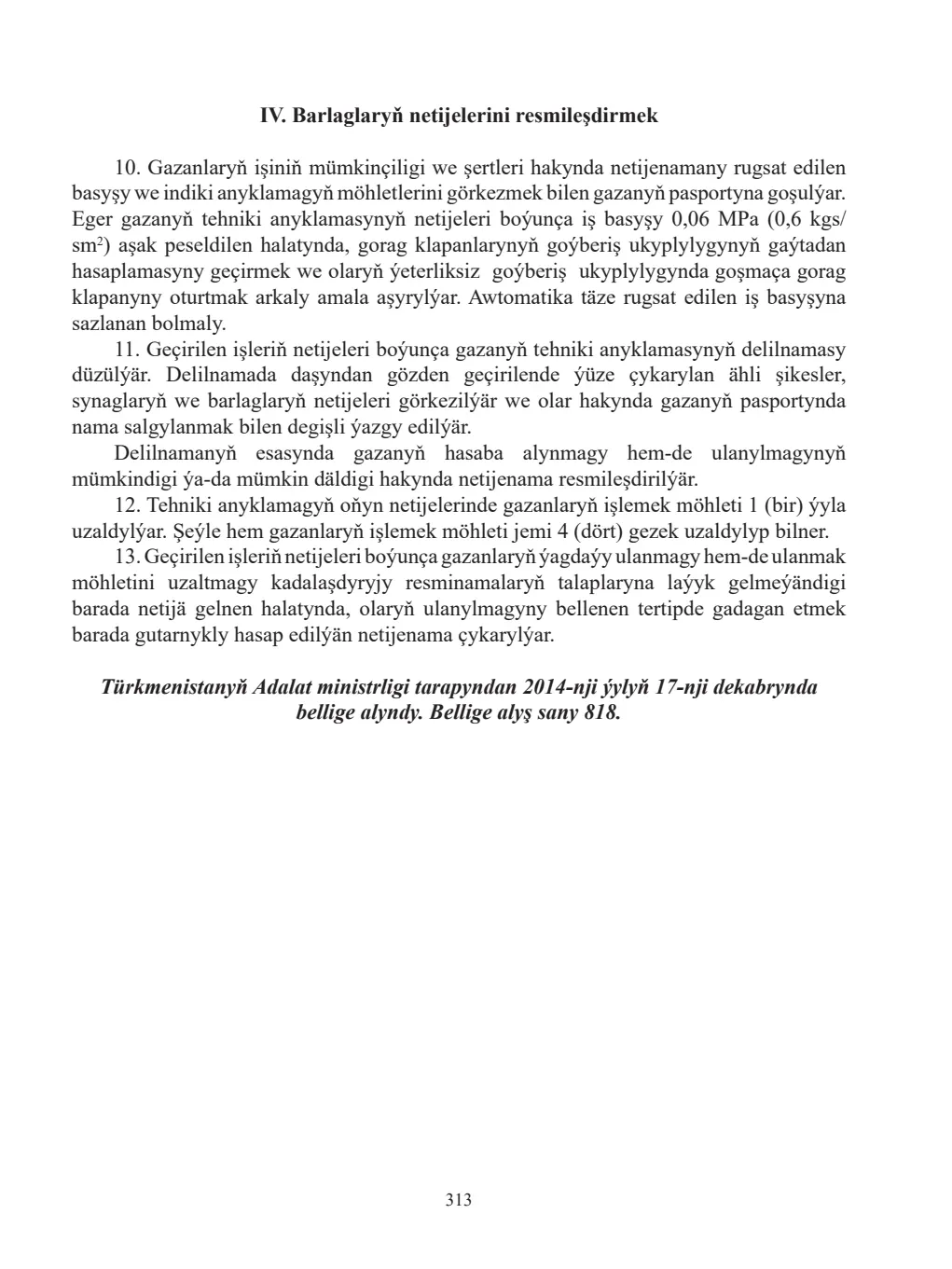 Sahypa 313
